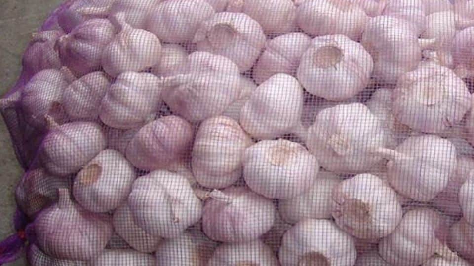 Garlic-Bags
