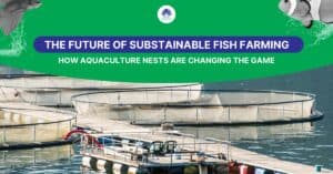 Read more about the article The Future of Sustainable Fish Farming: How Aquaculture Nets are Changing the Game