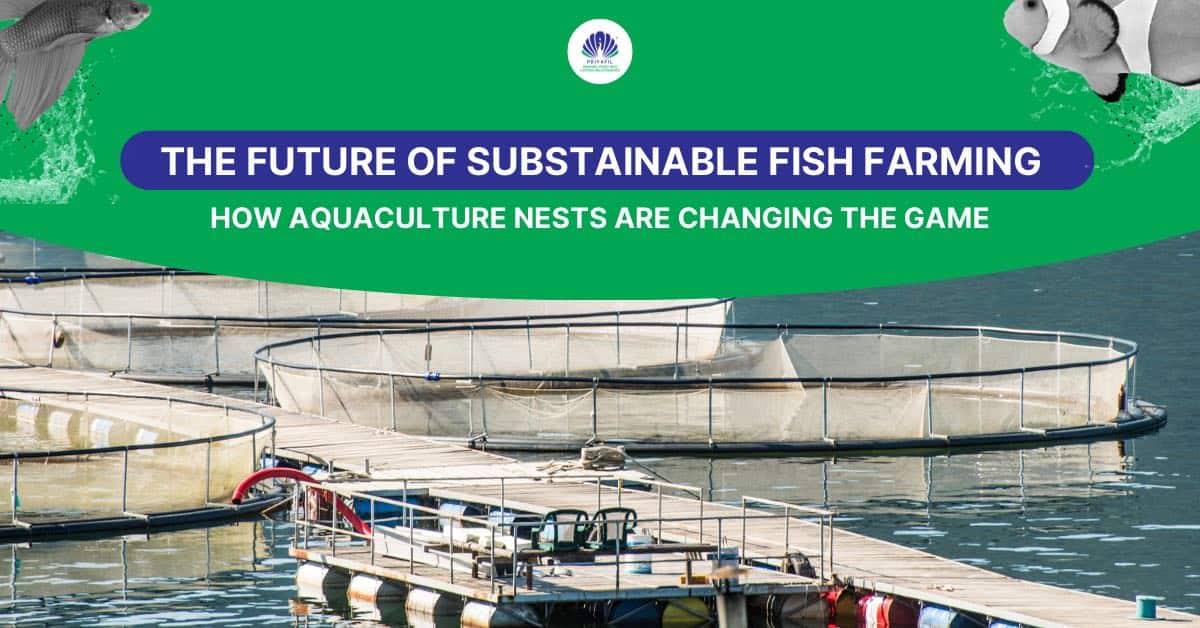 You are currently viewing The Future of Sustainable Fish Farming: How Aquaculture Nets are Changing the Game