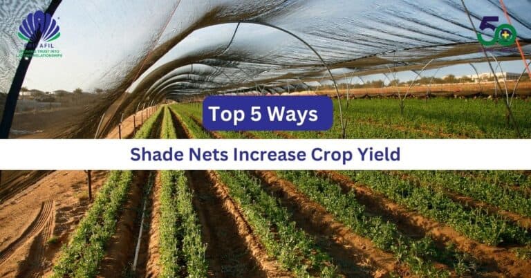 Top 5 Ways Shade Nets Increase Crop Yield