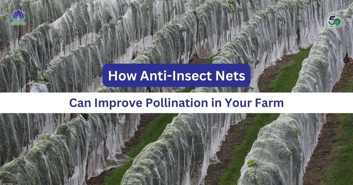 Read more about the article How Anti-Insect Nets Can Improve Pollination in Your Farm