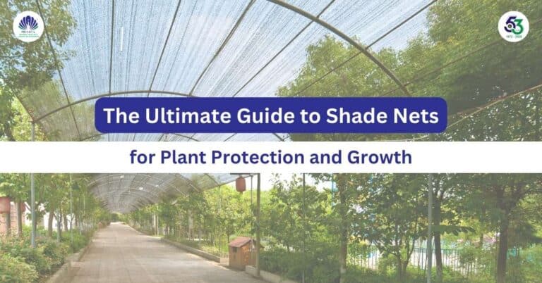 The Ultimate Guide to Shade Nets for Plant Protection and Growth